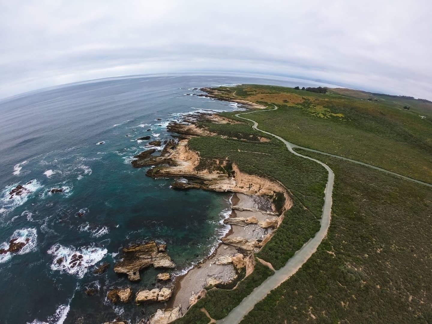 RUN FREE: The California Coast photo 3