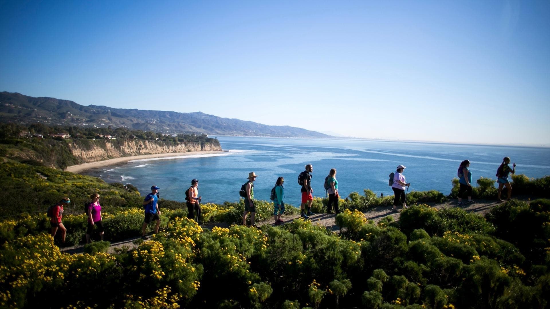 RUN FREE: The California Coast photo 5