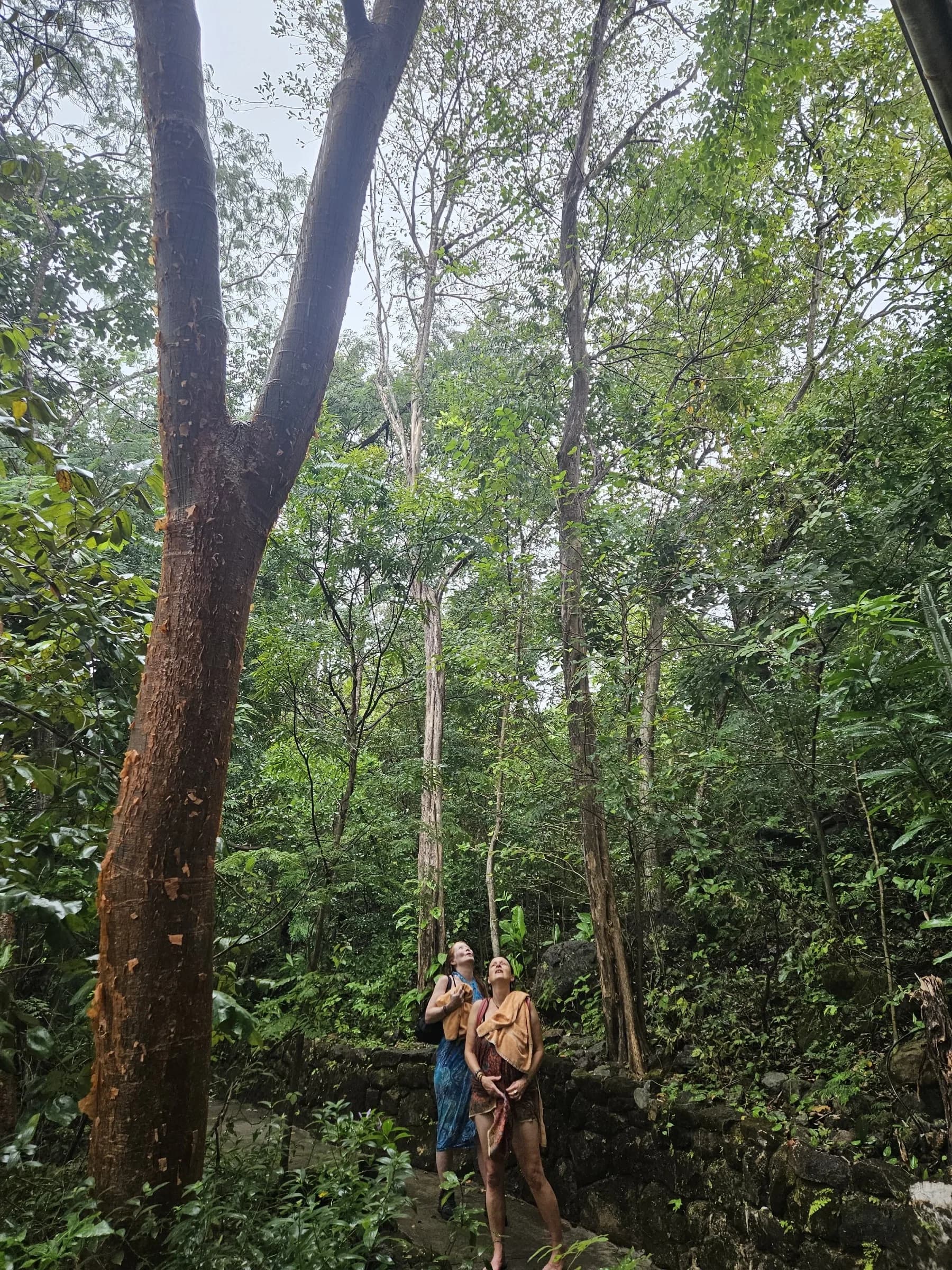 Expand Beyond Recovery La Anita Rainforest Jungle Retreat photo 3