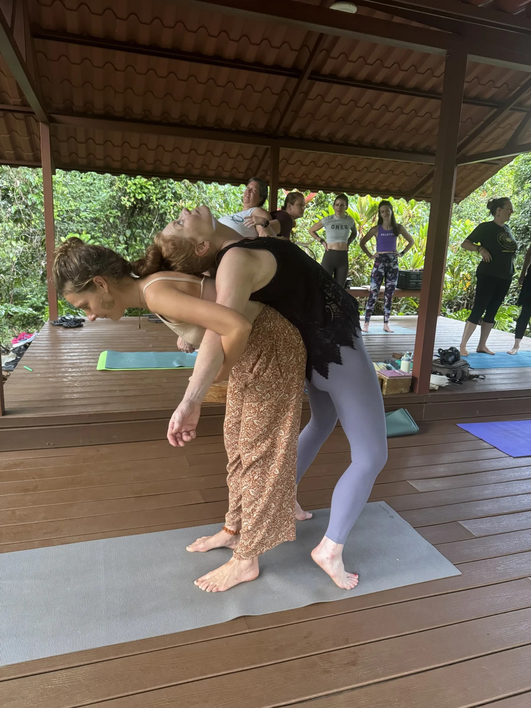 Expand Beyond Recovery La Anita Rainforest Jungle Retreat photo 4