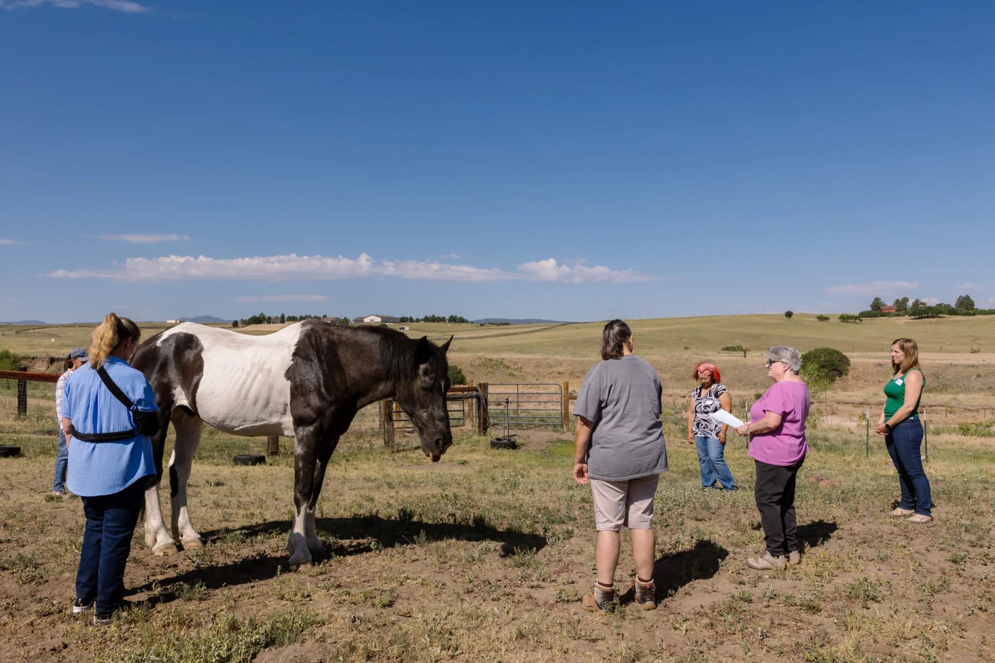 The BRAVE Immersion in Castle Rock, United States