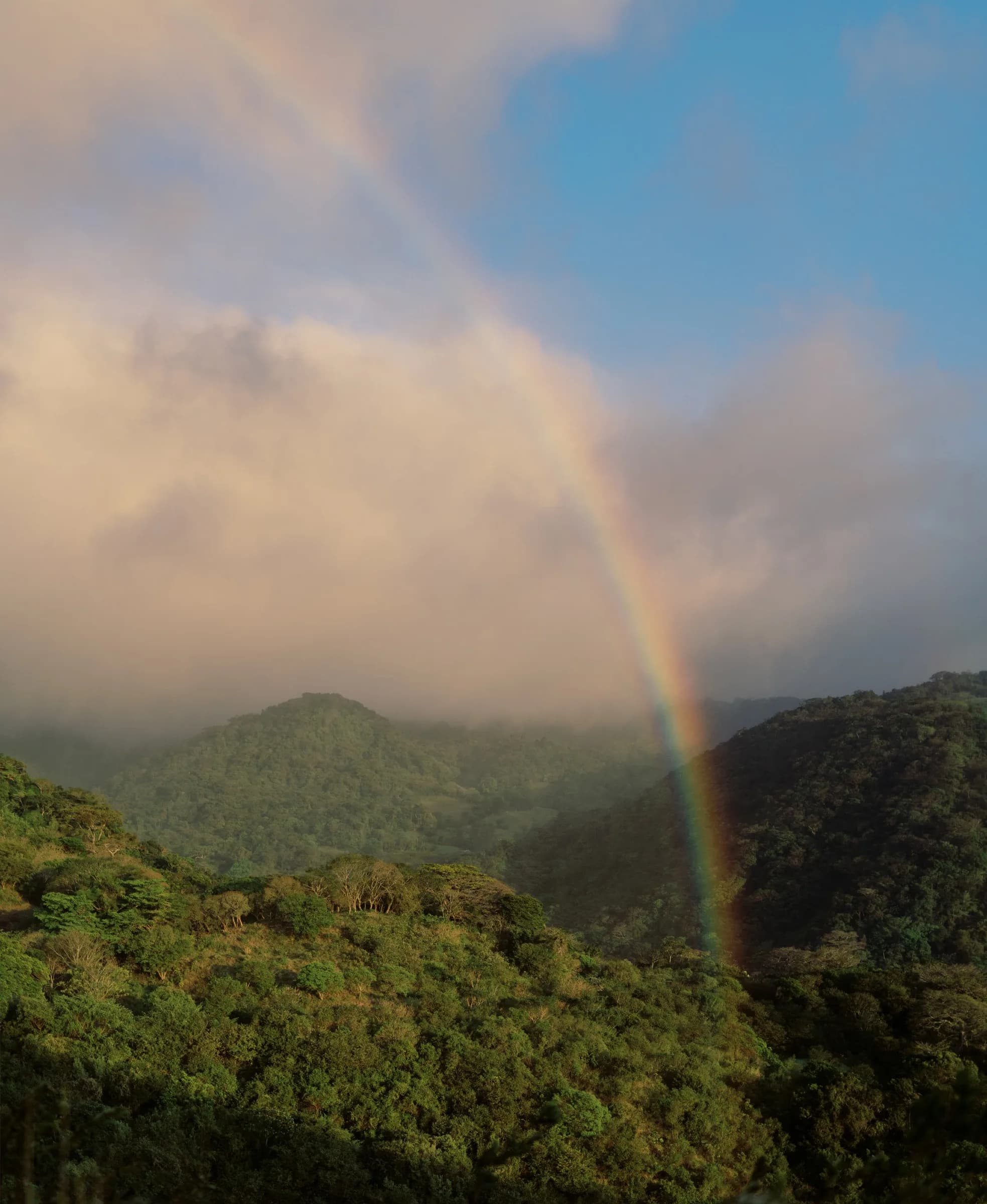 Doors to the Wild Self: Costa Rica Yoga Retreat photo 3