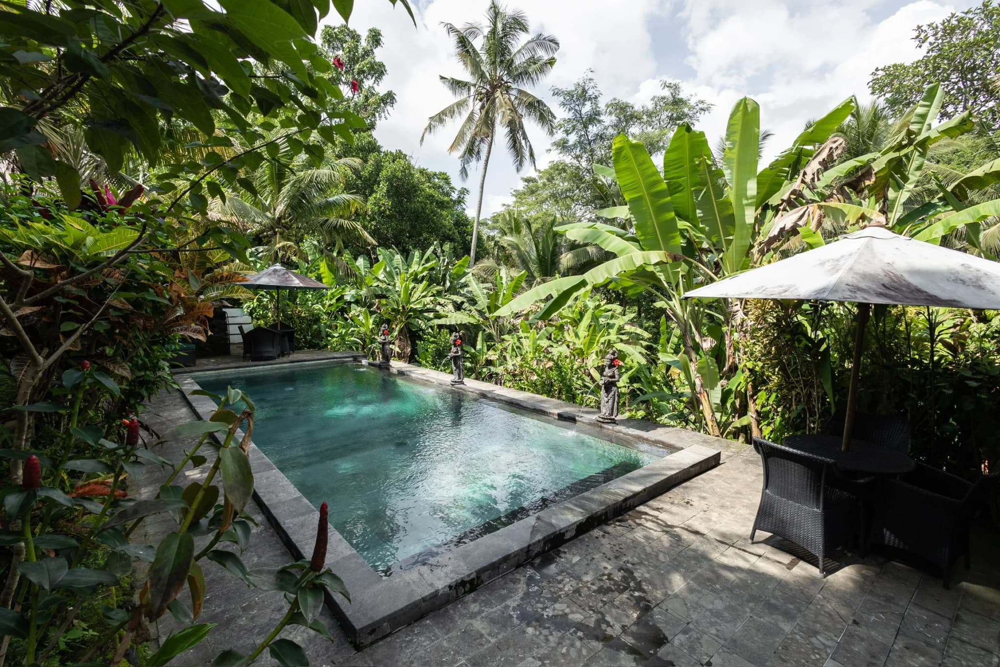 Awaken: A 7 night women's wellness retreat in Bali  in Ubud, Indonesia